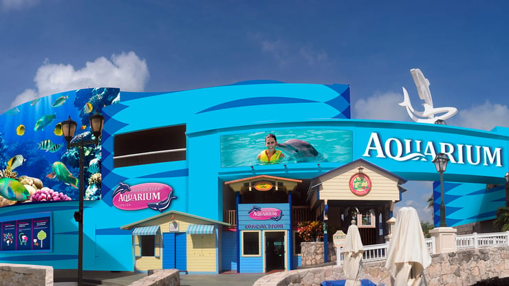 Que hacer en Cancún visitar En-la-plaza-La-Isla-se-encuentra-el-Acuario-de-Cancun.jpg