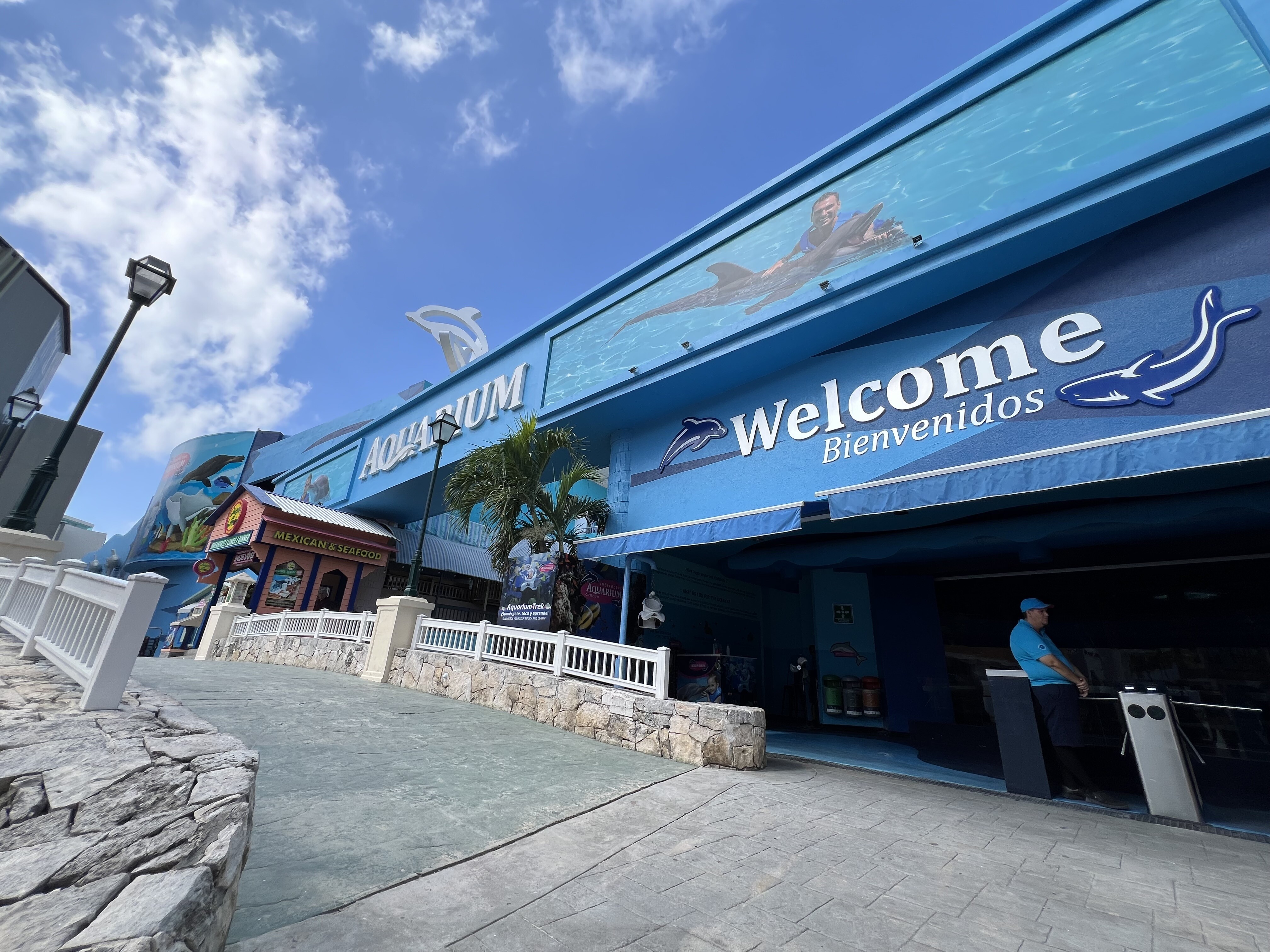 What to do at the Interactive Aquarium Cancun